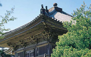 富士苹果的发源地-青森县