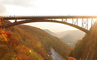 2020年日本大学 ランキング