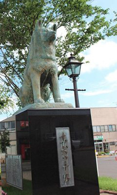 富饶的鱼米之乡-秋田县